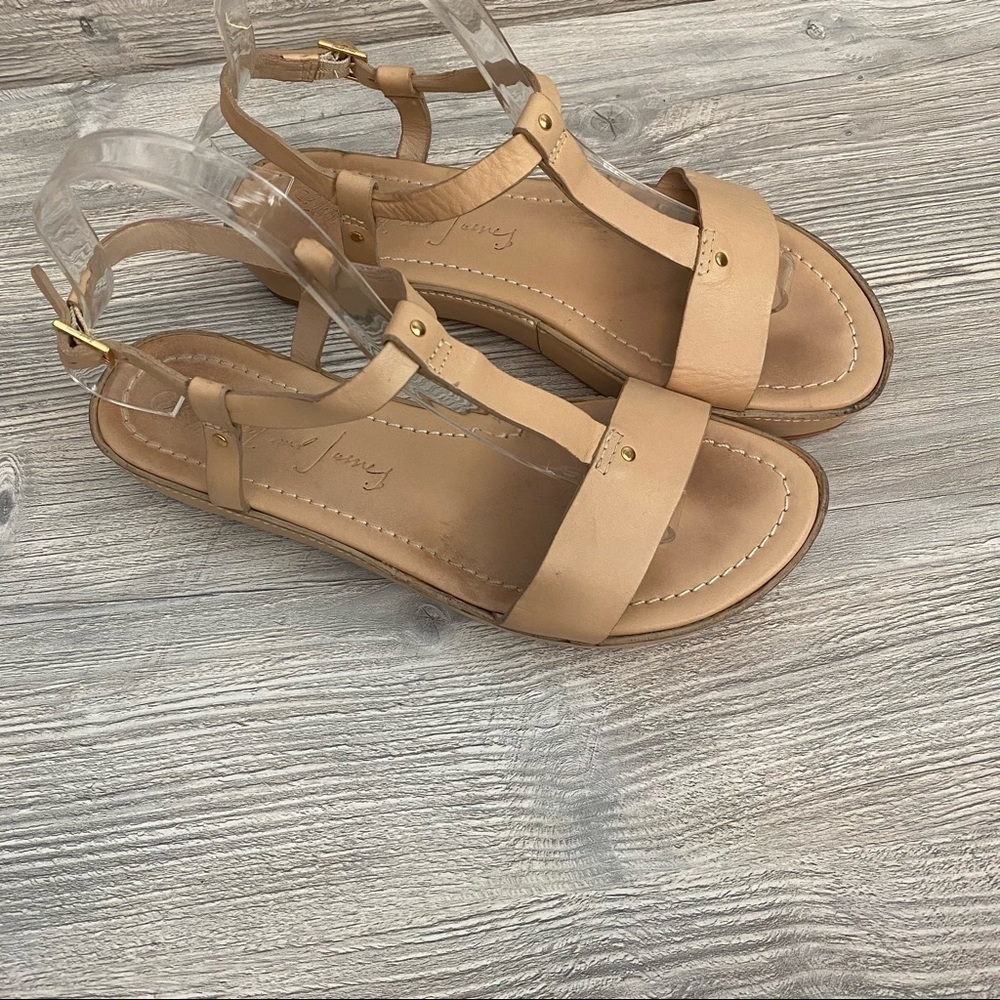 Elizabeth and James Cree leather blush taupe sandals size 8 t strap - Picture 3 of 11